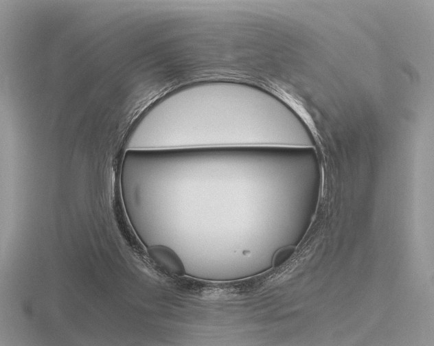 X0000116640109200912140953