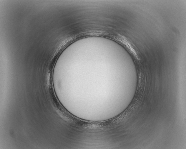 X0000116640110200912140953