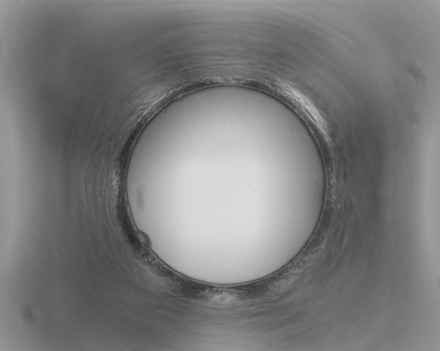 X0000116640113200912140953