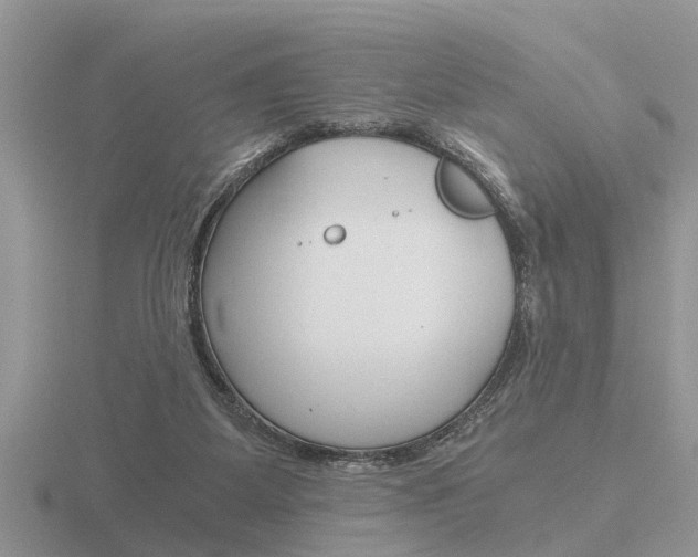 X0000116640115200912140953