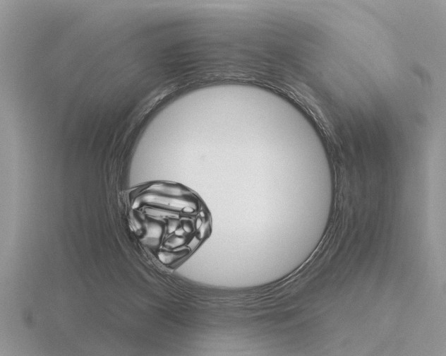 X0000116640116200912140953