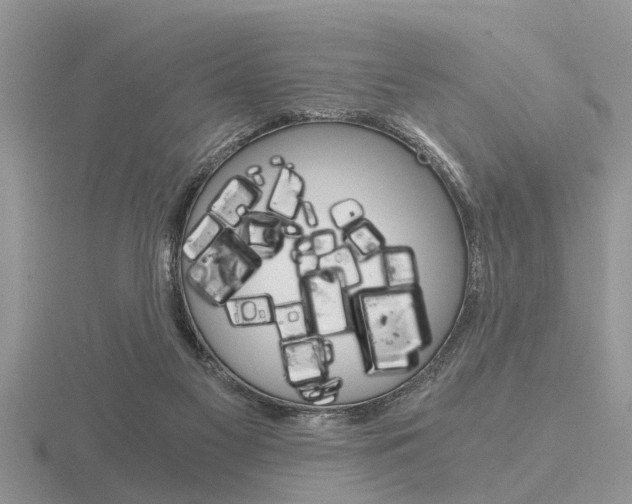 X0000116640117200912140953