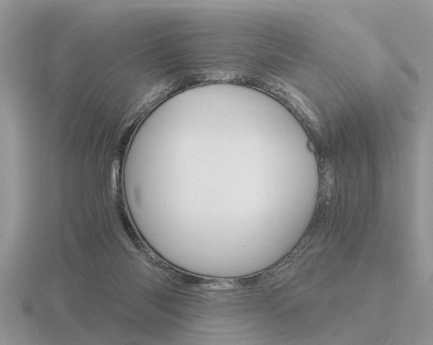 X0000116640118200912140953