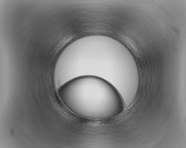 X0000116640120200912140953