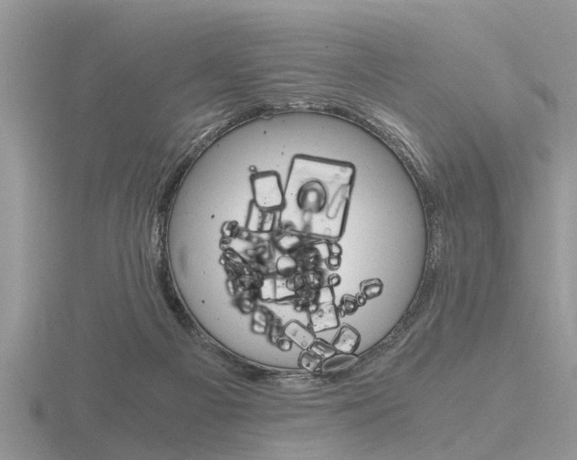 X0000116640121200912140953