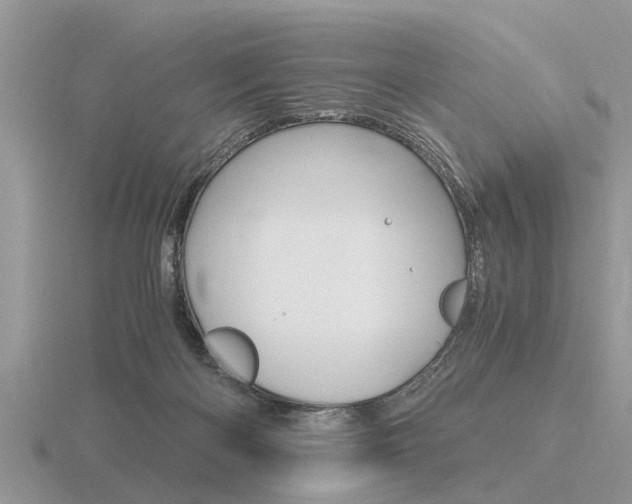 X0000116640122200912140953