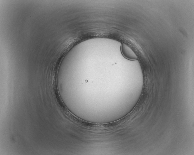 X0000116640123200912140953