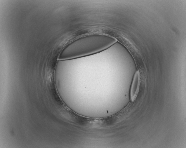 X0000116640125200912140953