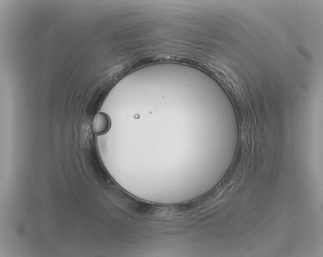 X0000116640127200912140953