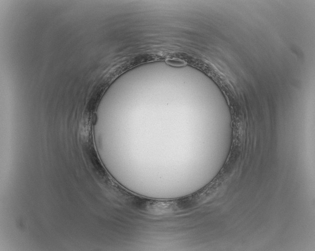 X0000116640129200912140953