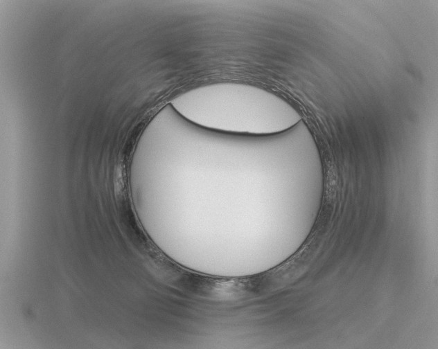 X0000116640130200912140953