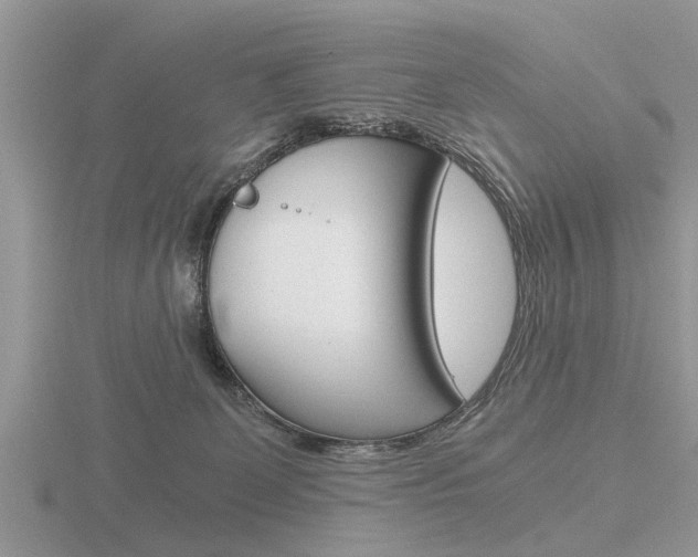 X0000116640131200912140953