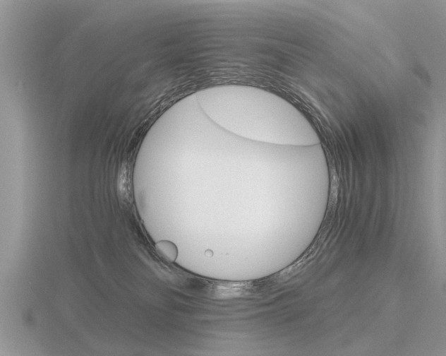 X0000116640134200912140953