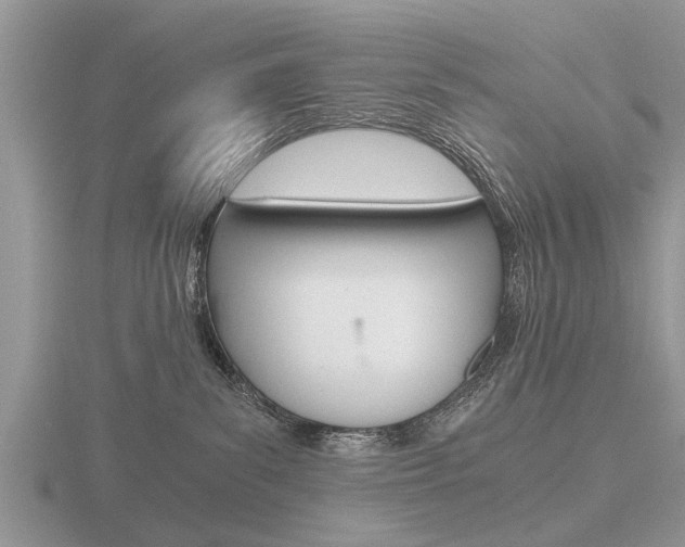 X0000116640139200912140953