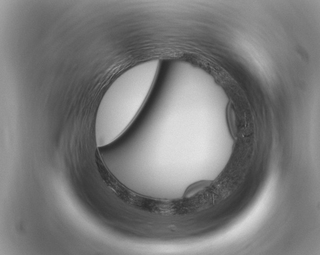 X0000116640143200912140953