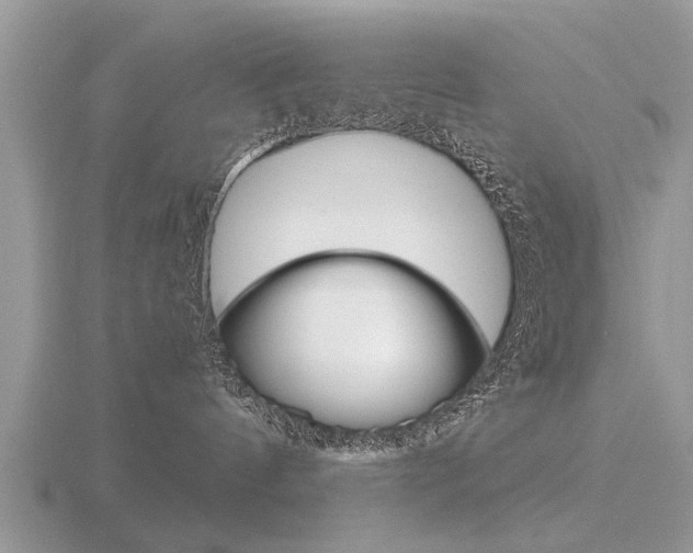 X0000116640144200912140952