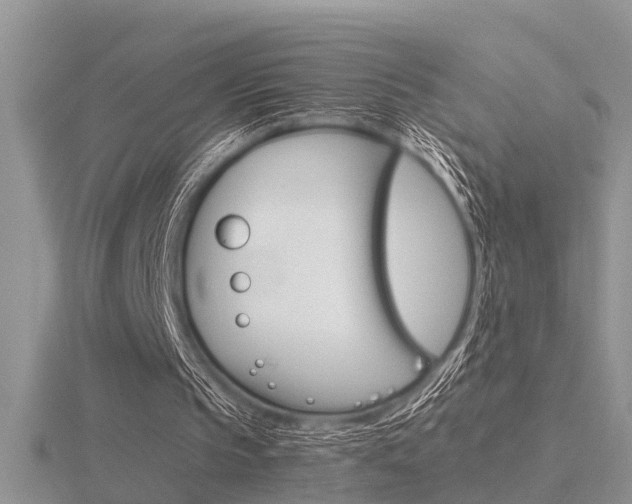 X0000116640145200912140952