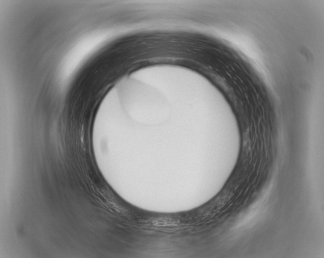 X0000116640146200912140952