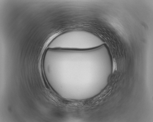 X0000116640147200912140952