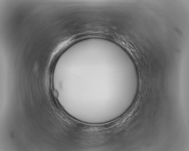 X0000116640149200912140952