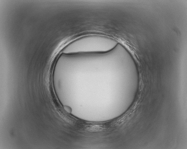 X0000116640151200912140952