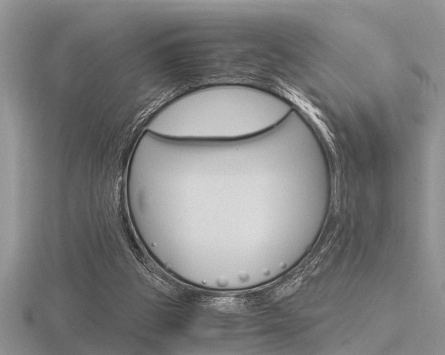 X0000116640153200912140952