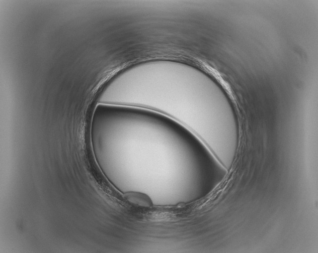 X0000116640154200912140952