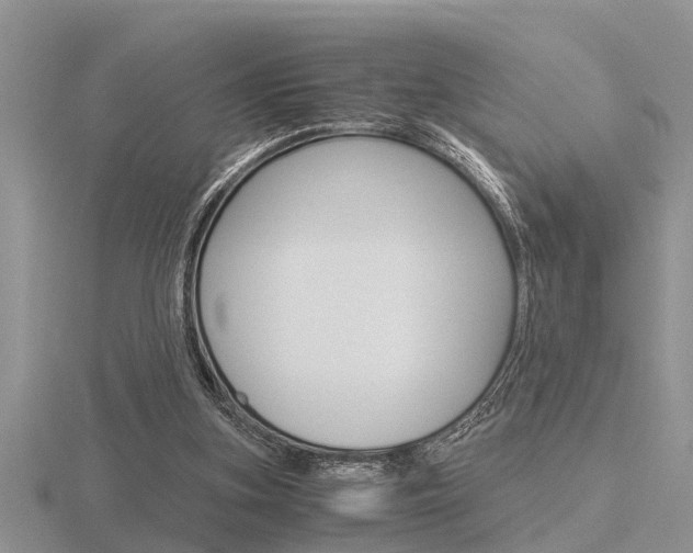 X0000116640155200912140952