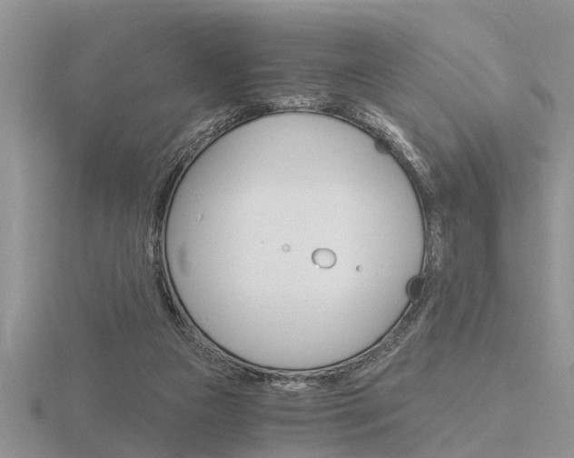 X0000116640161200912140952