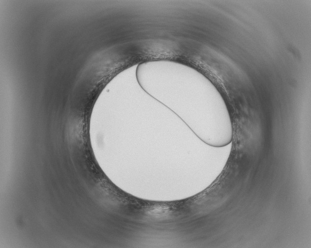 X0000116640162200912140952