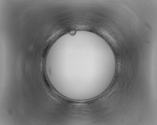 X0000116640165200912140952