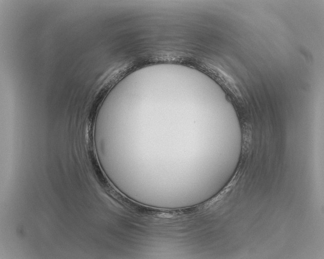 X0000116640166200912140952