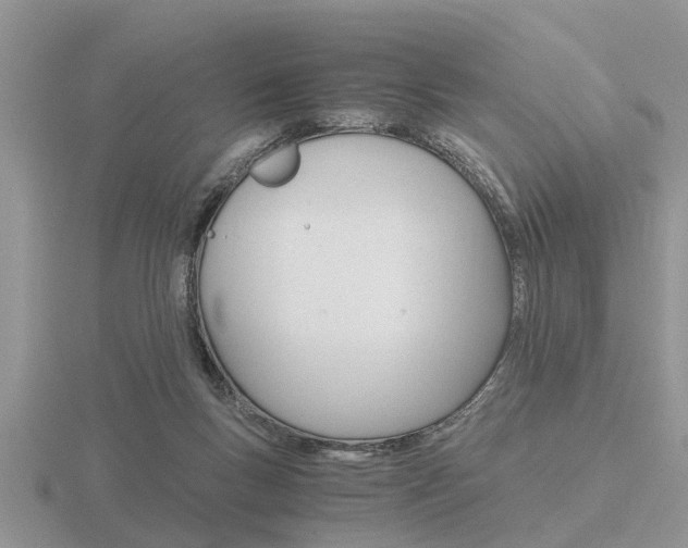 X0000116640167200912140952