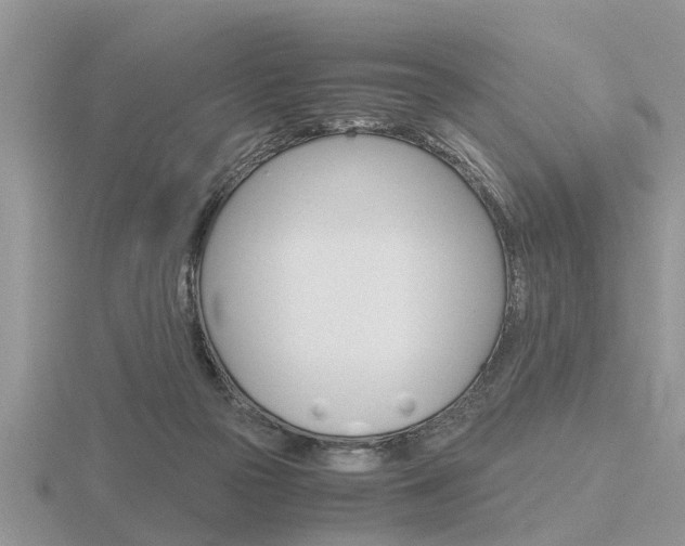 X0000116640169200912140952