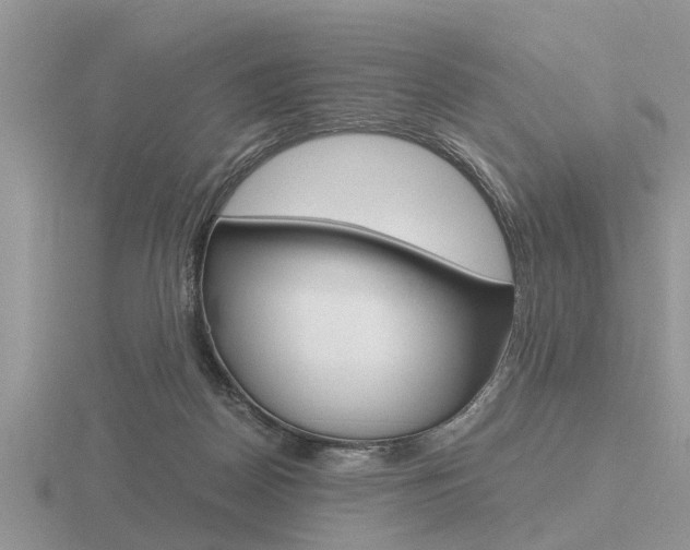 X0000116640170200912140952