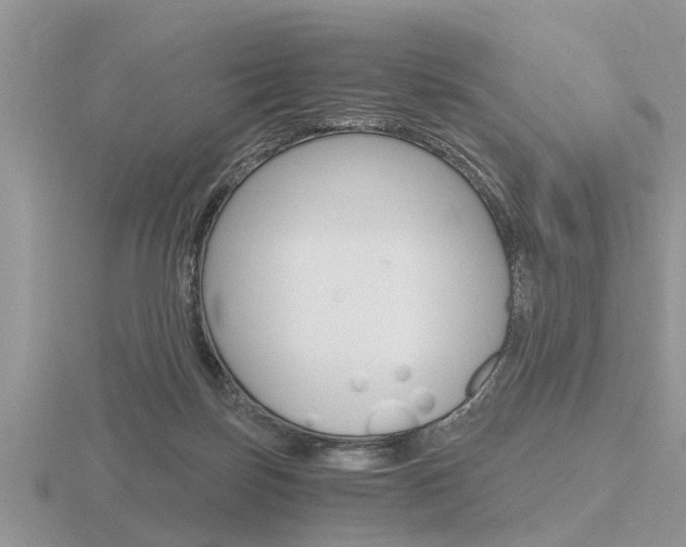 X0000116640171200912140952