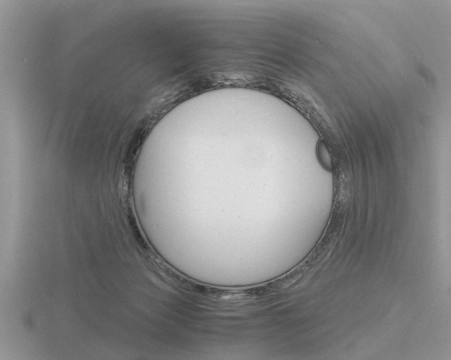 X0000116640173200912140952