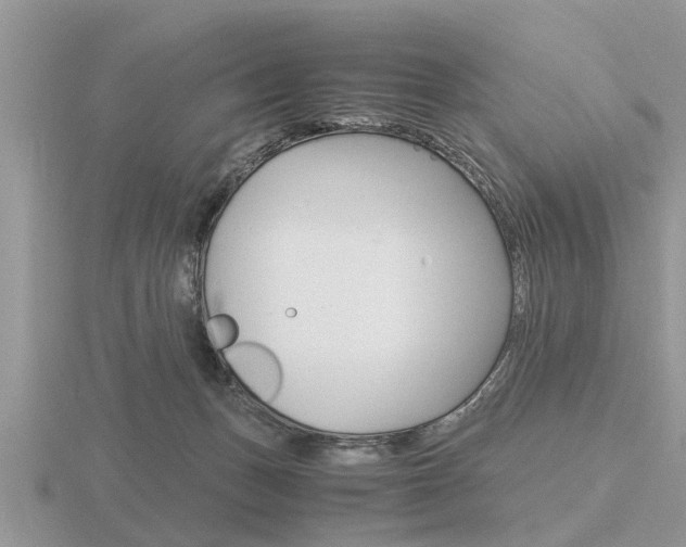 X0000116640175200912140952