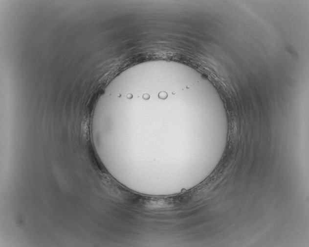 X0000116640177200912140952