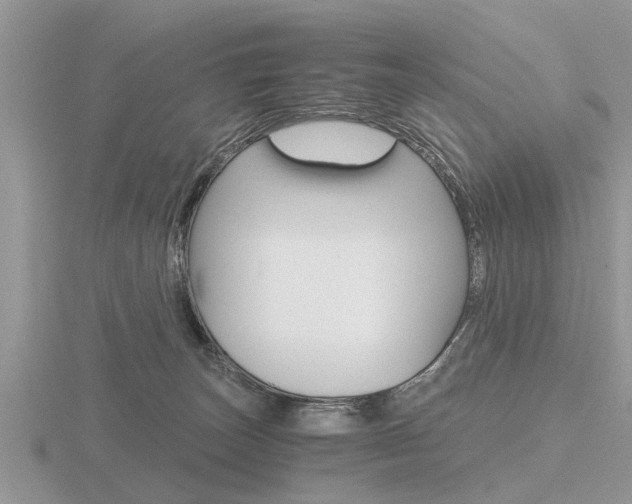 X0000116640179200912140952