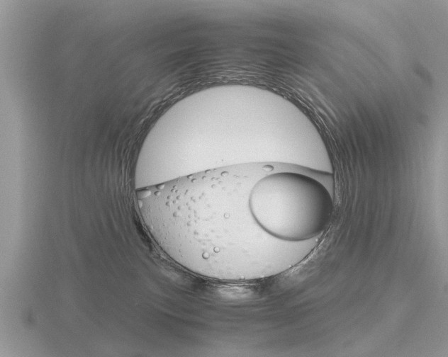 X0000116640183200912140952