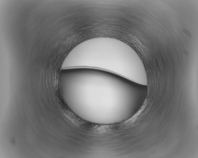 X0000116640186200912140952