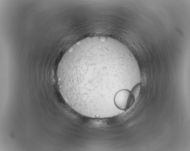 X0000116640187200912140952