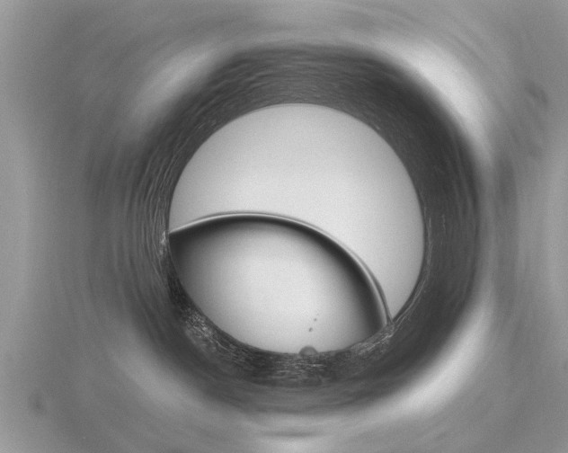 X0000116640190200912140952