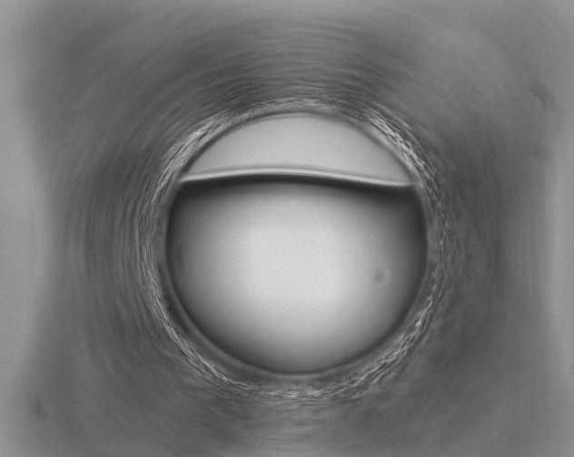 X0000116640193200912140952