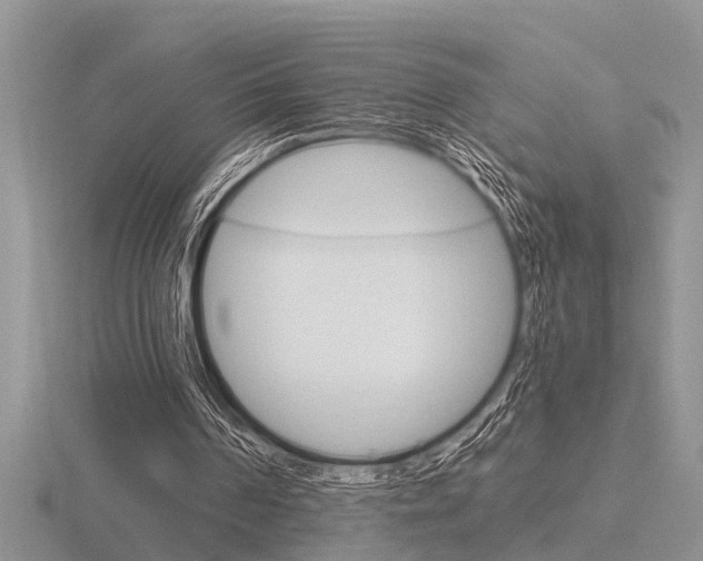 X0000116640194200912140952