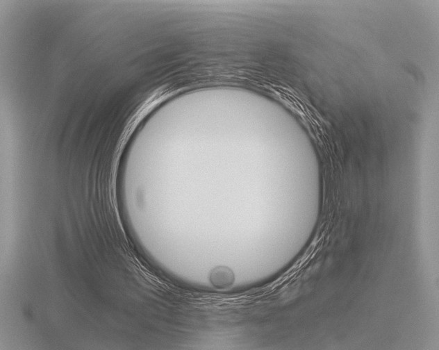 X0000116640195200912140952