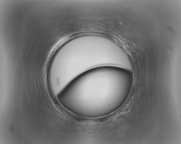 X0000116640197200912140952