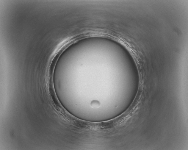 X0000116640199200912140952