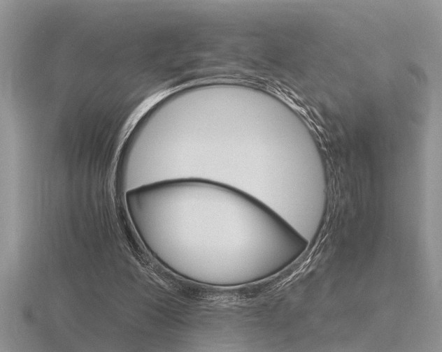 X0000116640200200912140952